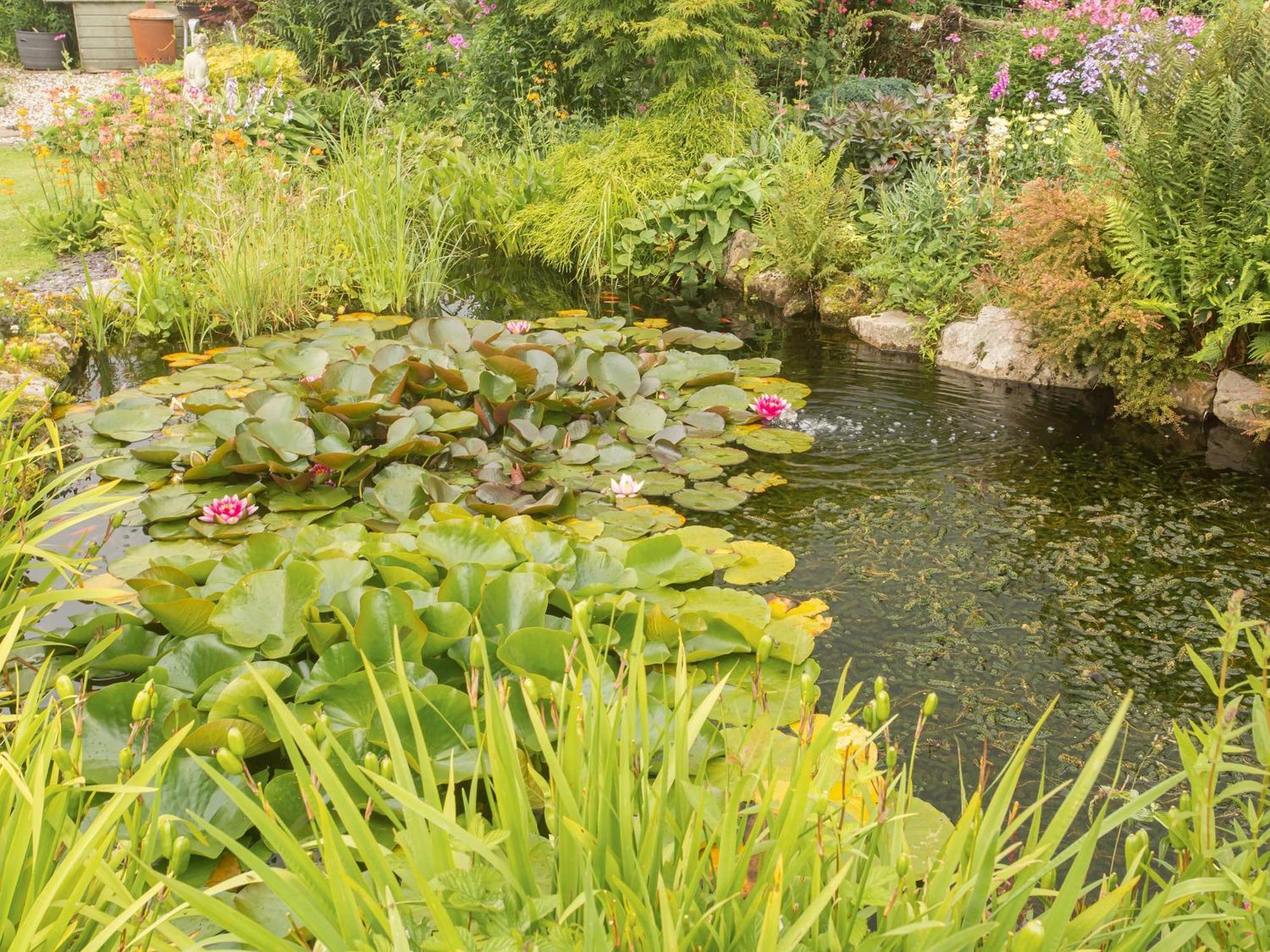 Вилла Hippos Rest Mow Cop Экстерьер фото